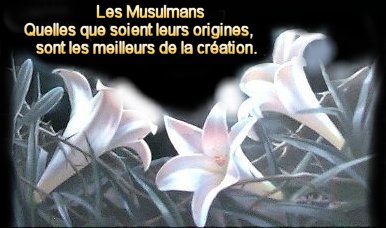 les muslmants sont les meilleurs de la création